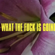 Illustration for article titled Here Is a Eurodance Mystery for You, If Youre Up for It